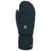 Moufles Level Astra W Mitt Gore-Tex Noir -Montagne Équipe 045c65c3f4cecdd5cf1e8e191fb15e73b3d97ad9 H23LEVEACC3343382 0