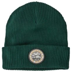 Bonnet Patagonia Kid's Logo Beanie Live Simply Crest: Pinyon Green