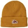 Bonnet Patagonia Kid's Logo Beanie Flying Fish Felt Patch: Cabin