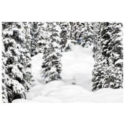 Lib Tech Pack Snowboard Golden Orca + Fix -Montagne Équipe bafab7b47fb70eeb7978a6b162414bf9f4578c6a H23LIBTBOA266439 903