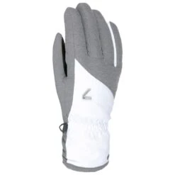 Gant Level Astra W Gore-Tex Gris