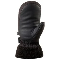 Moufles Dakine Alero Mitt Black -Montagne Équipe d623cf61b351d0ef3ef117544f275e1478f9e7d8 H23DAKIACC3353407 2